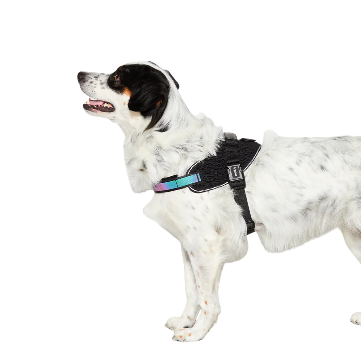 Pechera ZeeDog Gotham FlyHarness – Ajustable y Confortable - Cosmos