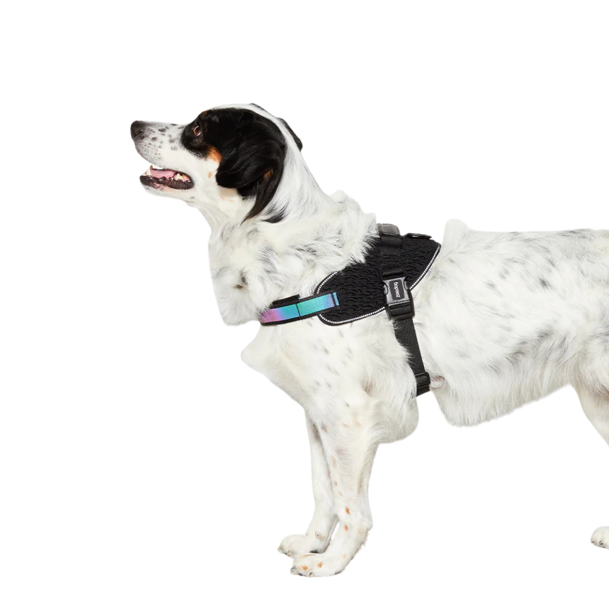 Pechera ZeeDog Gotham FlyHarness – Ajustable y Confortable - Cosmos