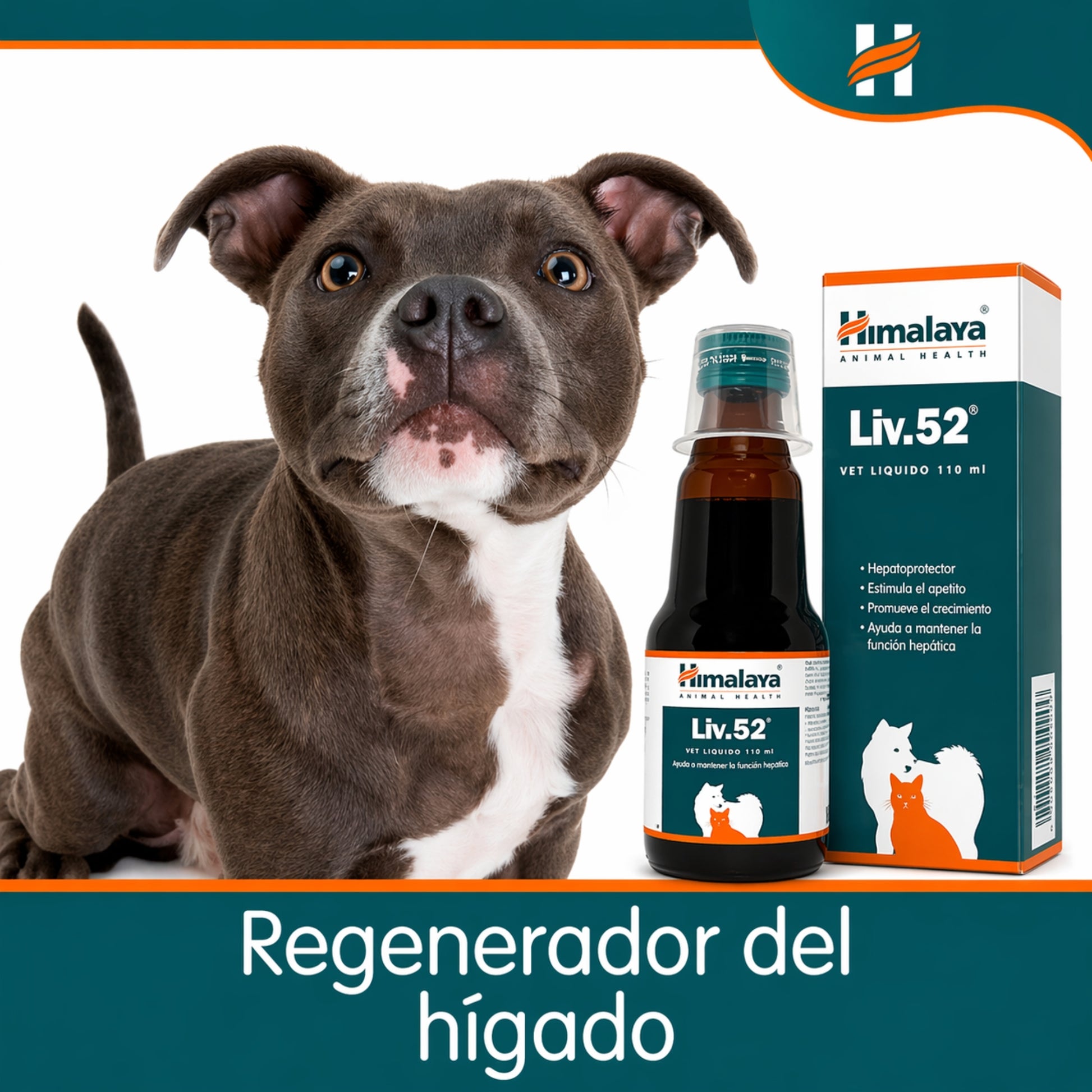 Liv.52 Vet – Protector Hepático y Estimulante del Apetito para Perros y Gatos - Cosmos