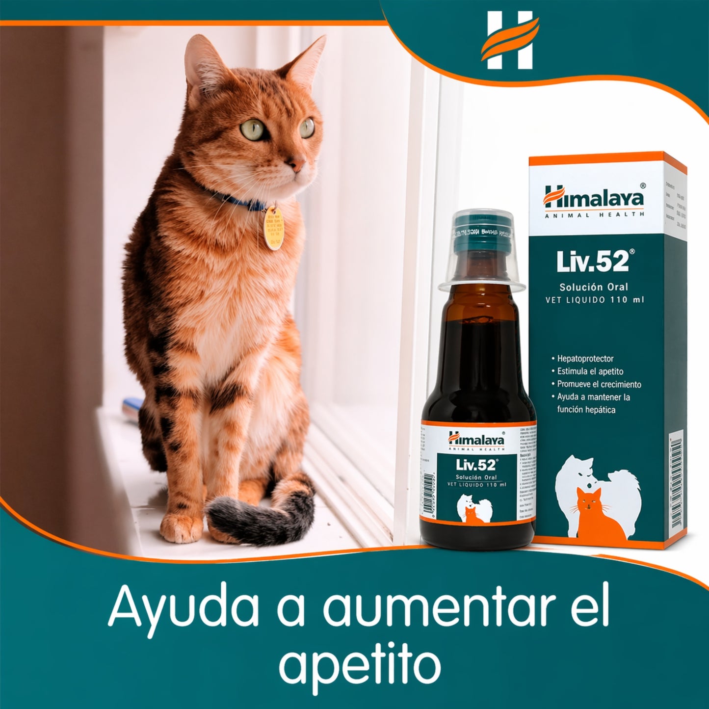 Liv.52 Vet – Protector Hepático y Estimulante del Apetito para Perros y Gatos - Cosmos