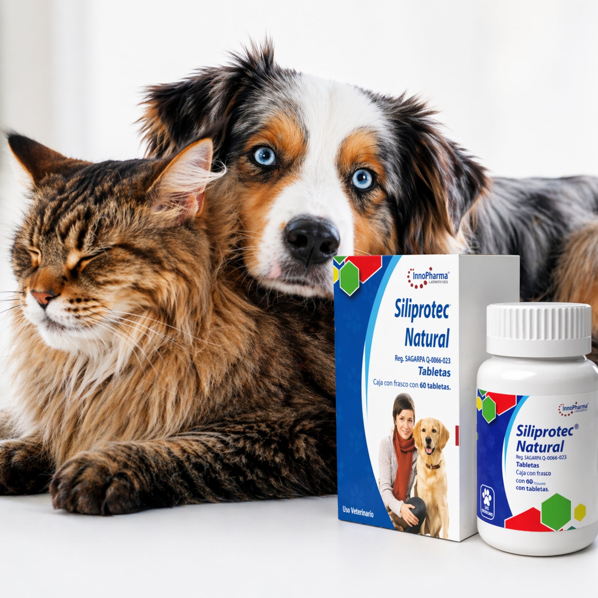 Siliprotect Natural – Hepatoprotector y Antioxidante para Perros y Gatos - Cosmos