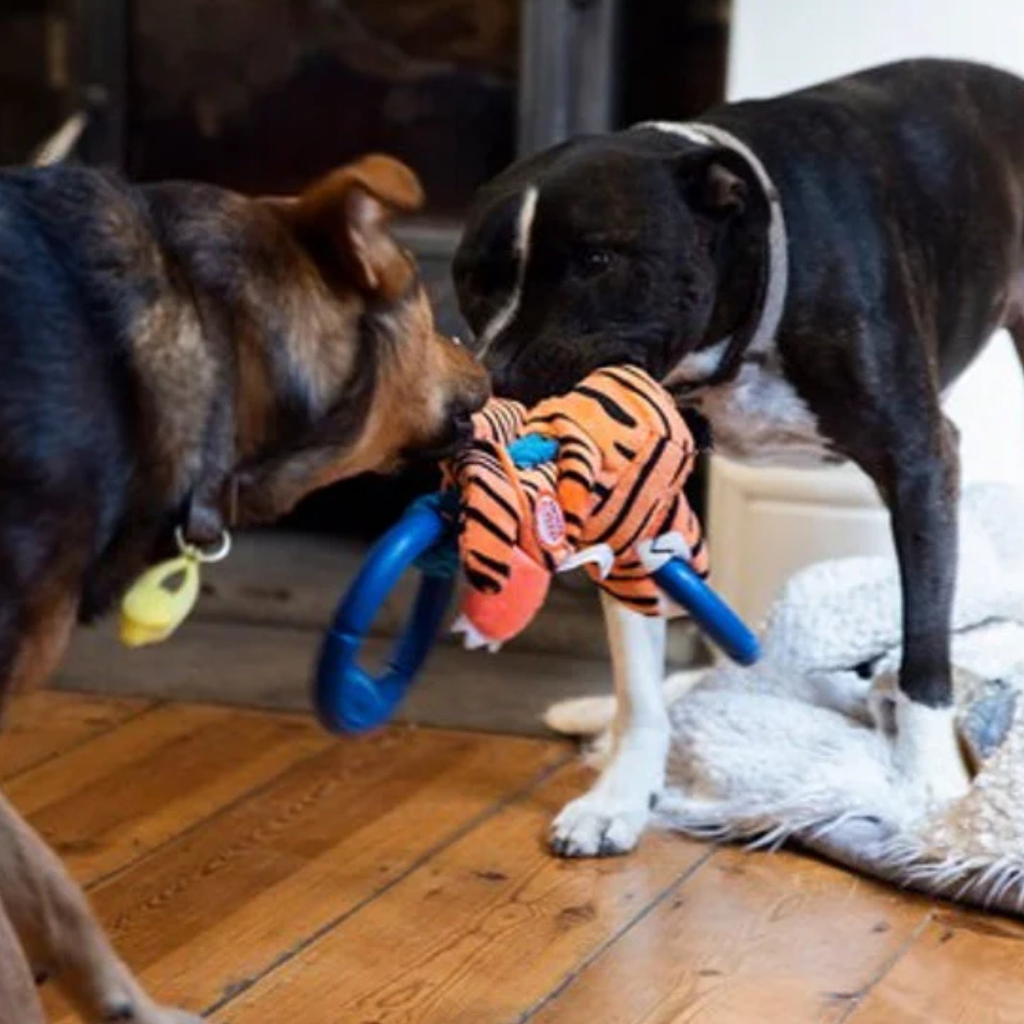 Juguete para perro GIGWI Iron Grip Tiger