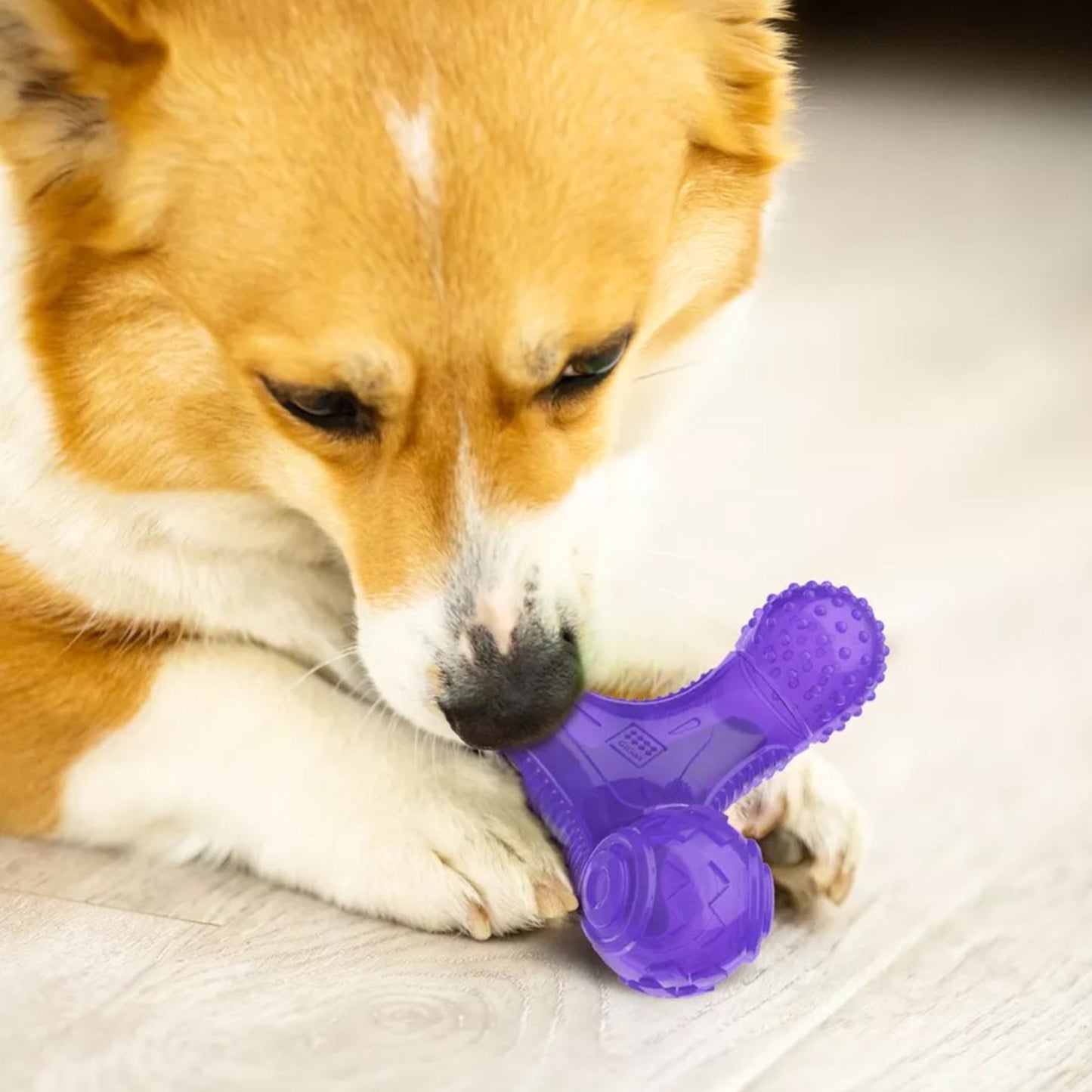 Juguete para perro GIGWI Multi Sounds Bone - COSMOS