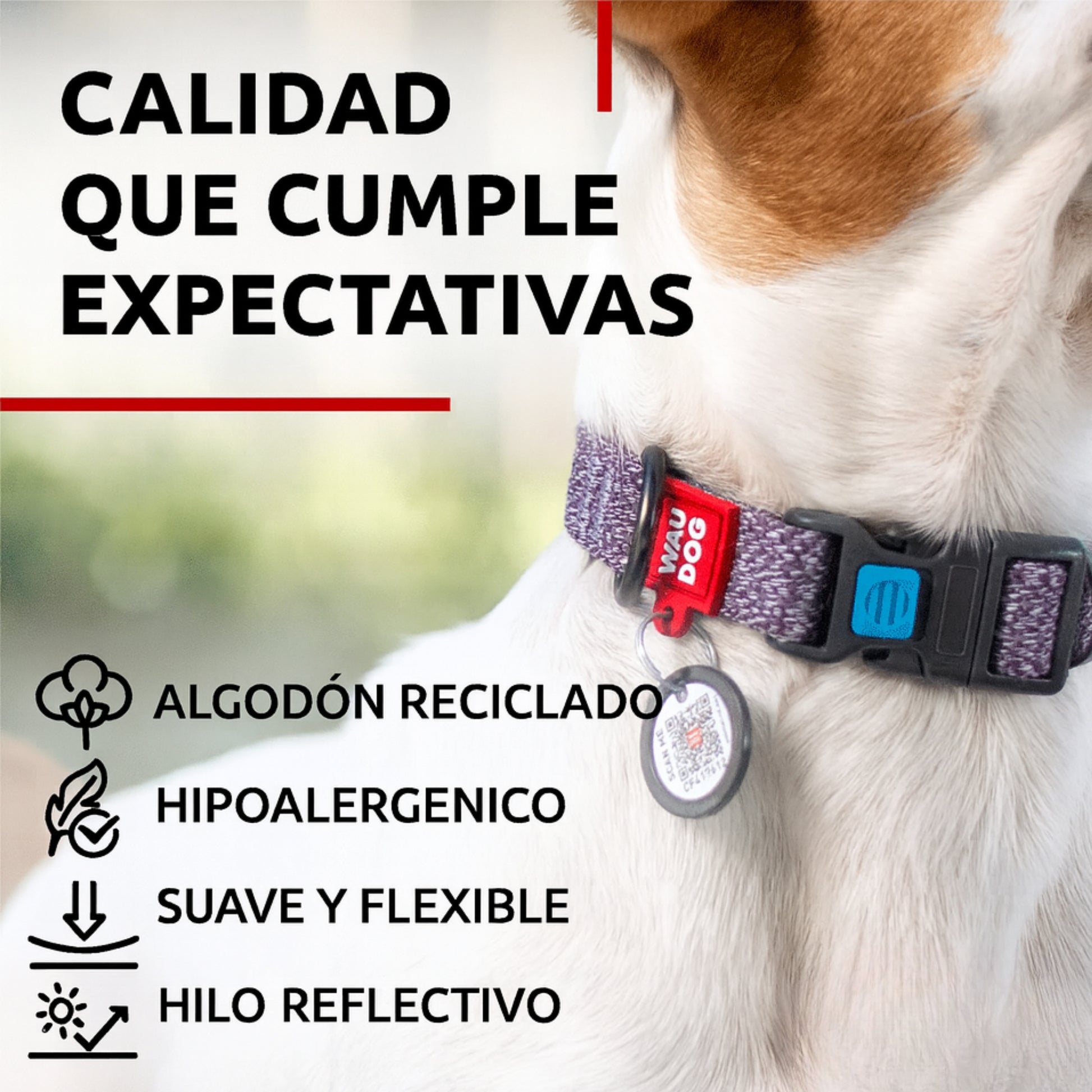 WAUDOG Nylon Collar S 1,5 mm - COSMOS