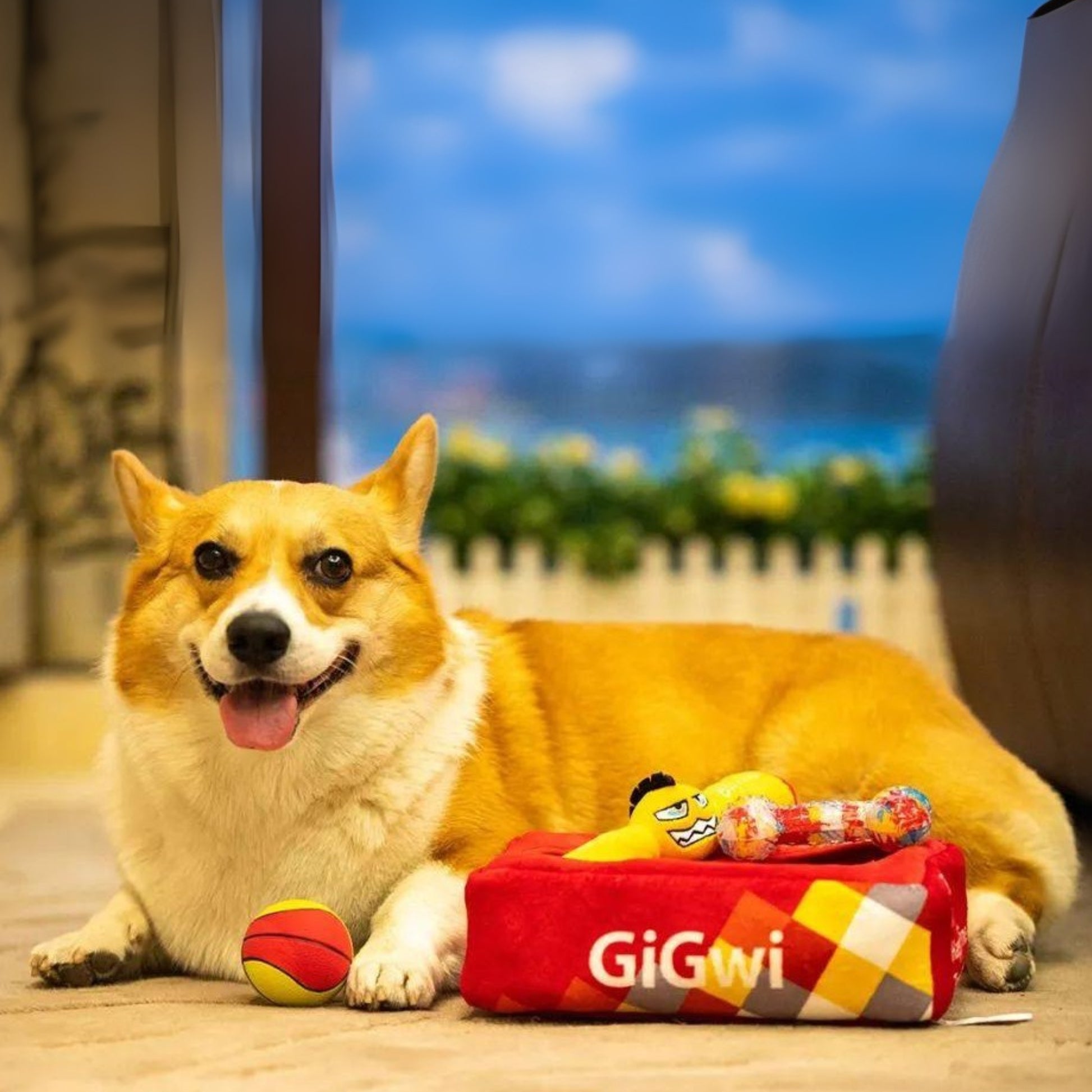 Juguete para perro GIGWI Hide N' Seek G - Box - COSMOS
