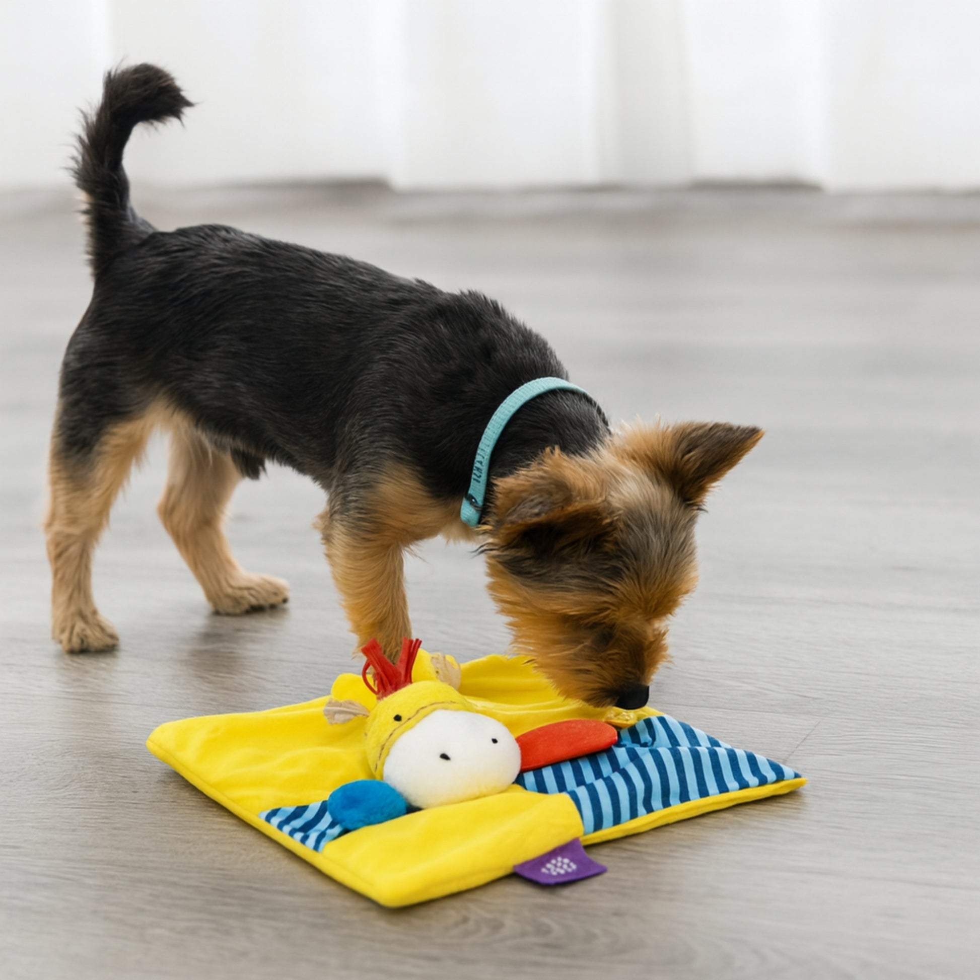 Juguete para perro GIGWI Suppa Puppa Mini Rug - COSMOS