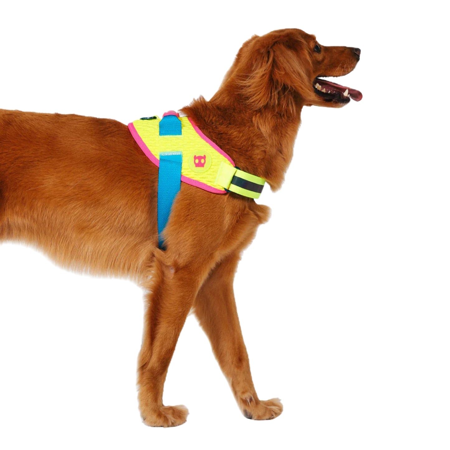 Pechera ZeeDog CMYK FlyHarness – Ajustable y Colorida - Cosmos