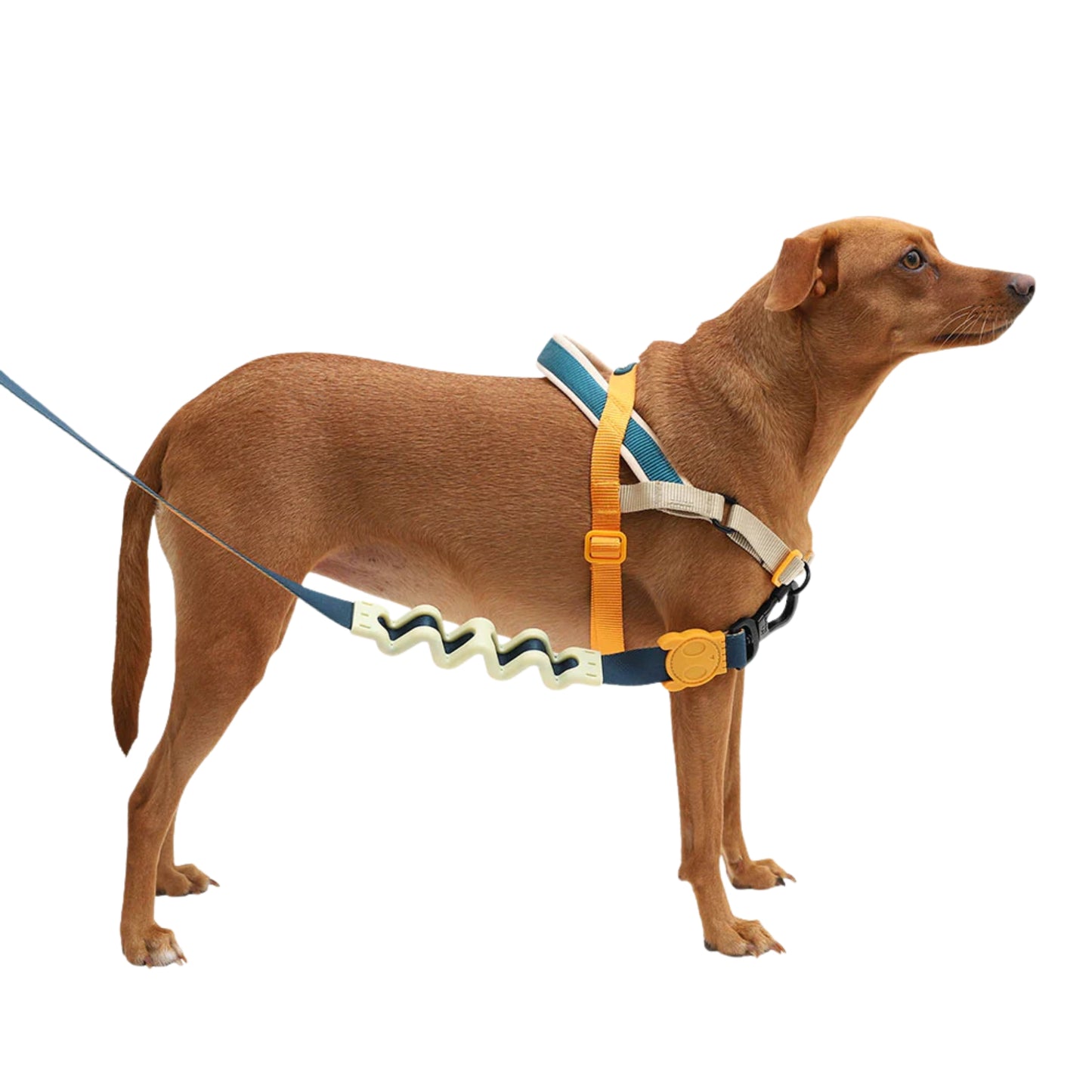ZeeDog Voyage Softer Walk Harness - Arnés Anti - tirones - Cosmos