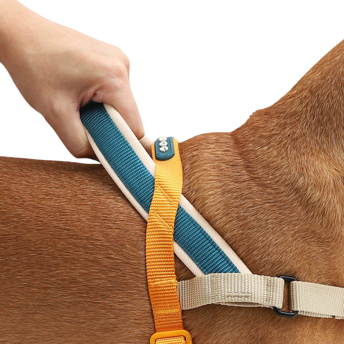 ZeeDog Voyage Softer Walk Harness - Arnés Anti - tirones - Cosmos