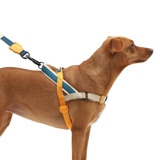 ZeeDog Voyage Softer Walk Harness - Arnés Anti - tirones - Cosmos