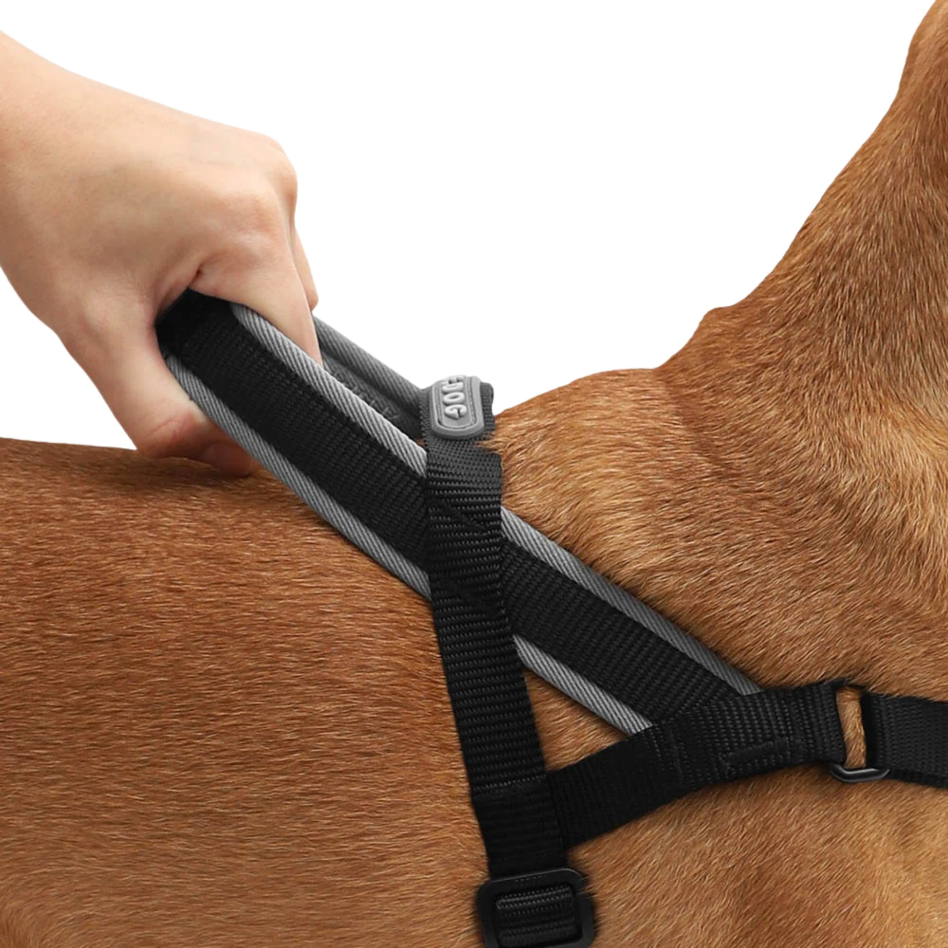 ZeeDog Gotham Softer Walk Harness – Arnés Anti - tirones - Cosmos