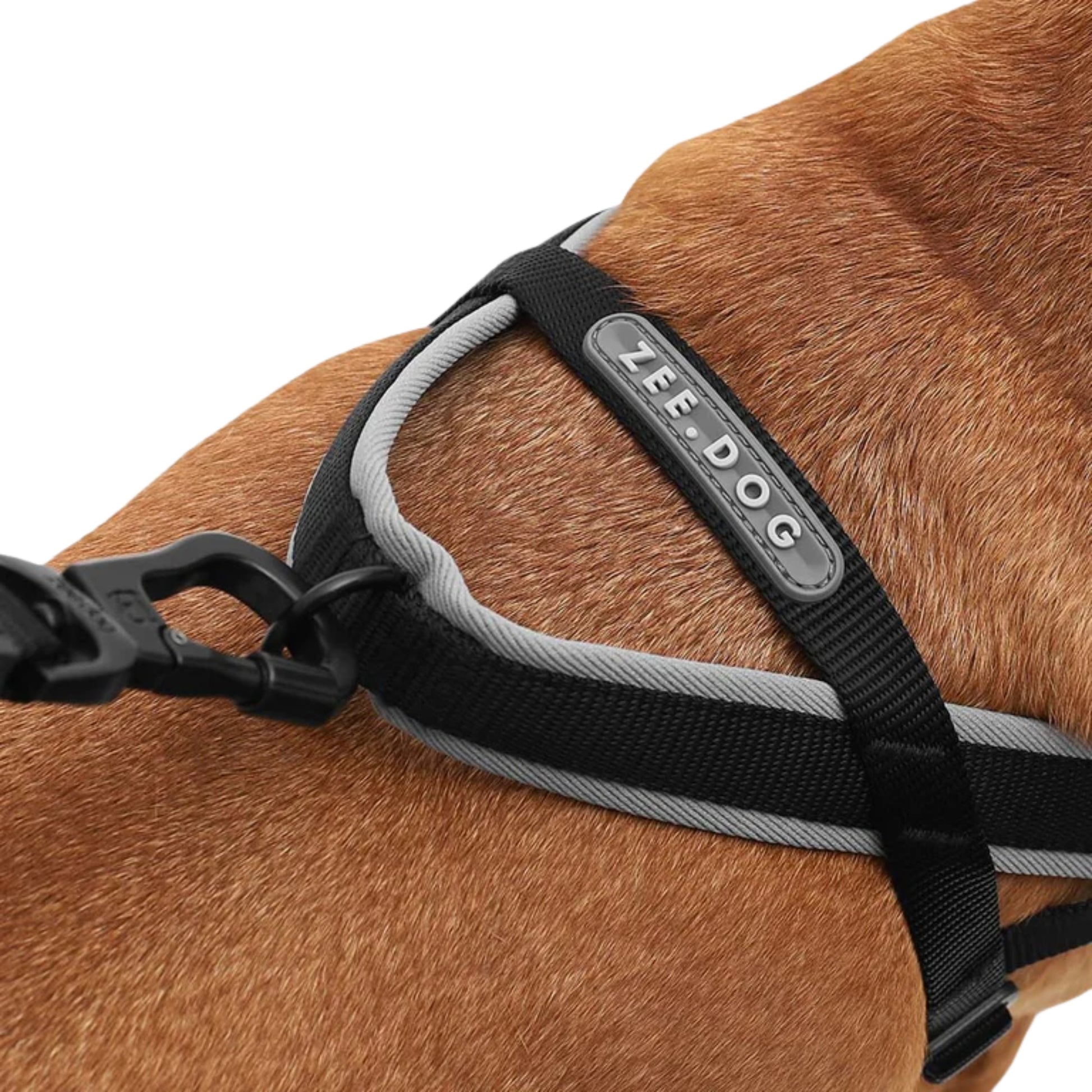 ZeeDog Gotham Softer Walk Harness – Arnés Anti - tirones - Cosmos