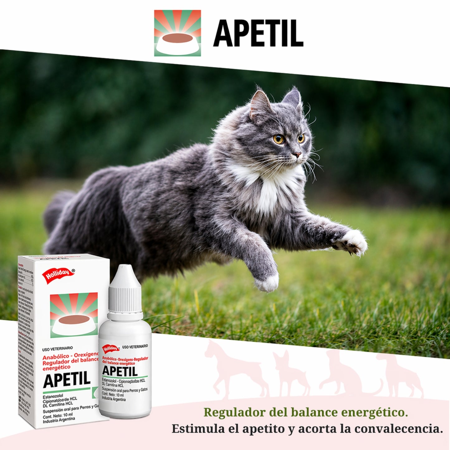 Apetil Gotas 10 ml – Estimulante del Apetito para Perros y Gatos - Cosmos