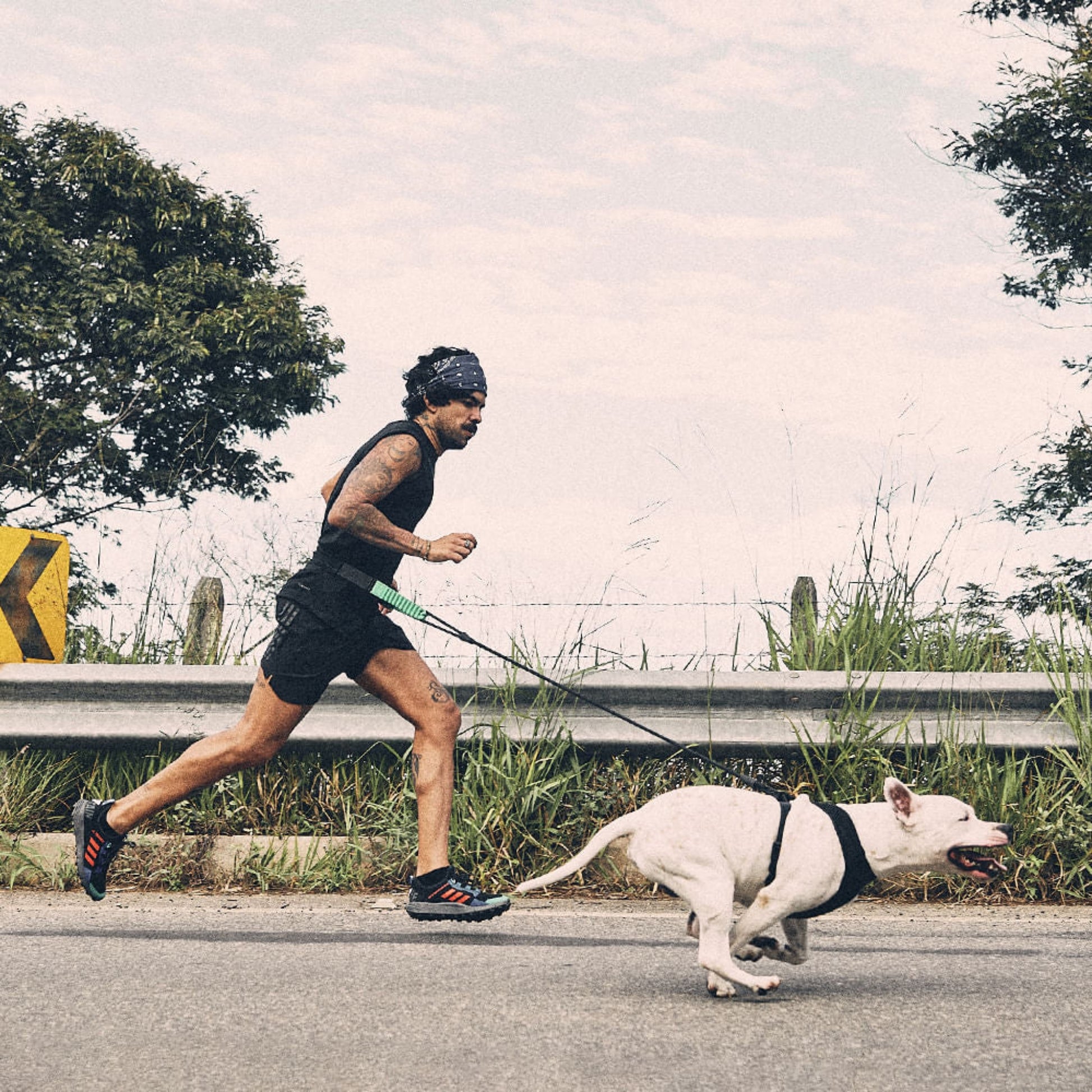 Zee.Run Cinturón para Correr Manos Libres – ZeeDog - Cosmos