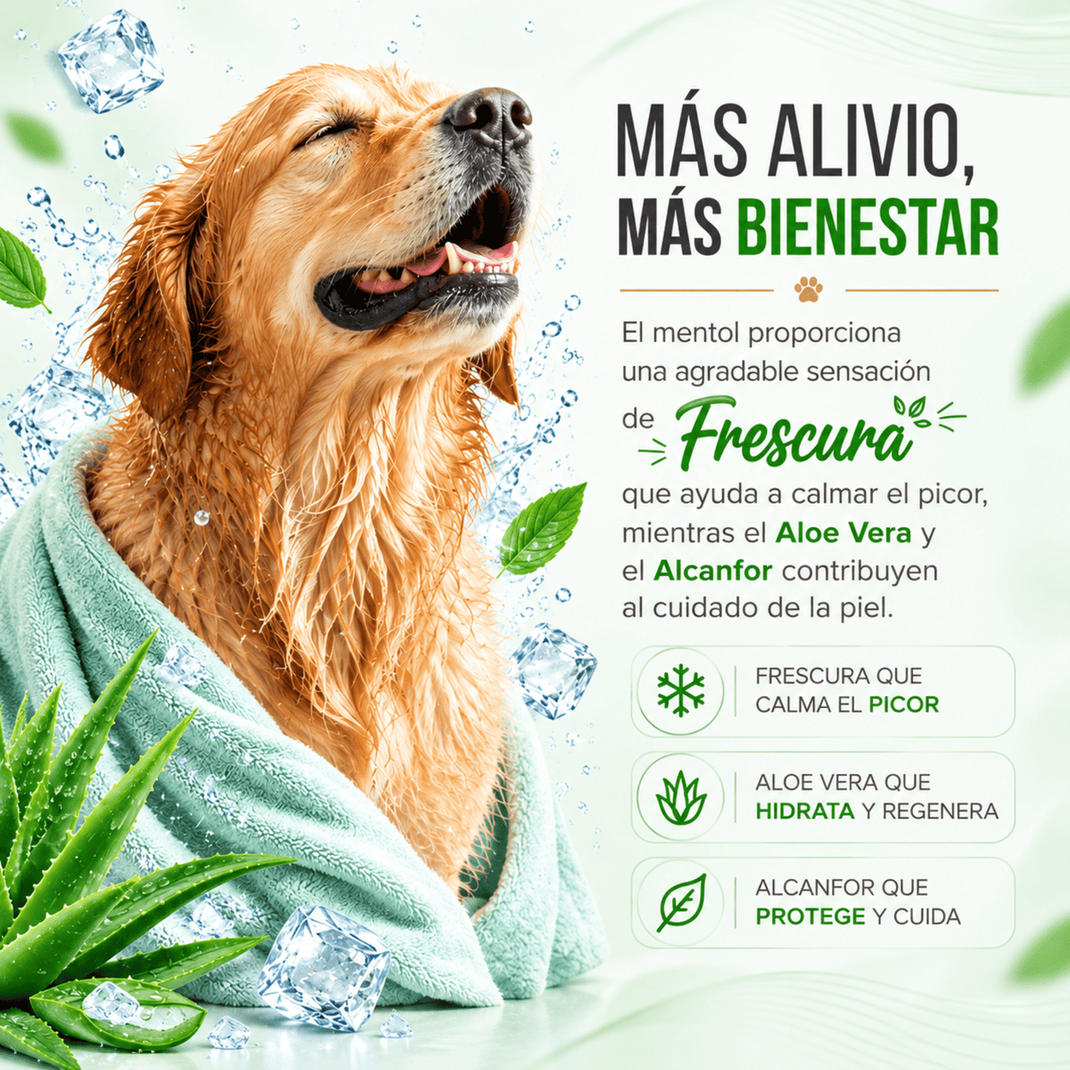 OSSPRET Shampoo Refrescante Suavizante 250 ml | Menta, Aloe y Alcanfor - Cosmos