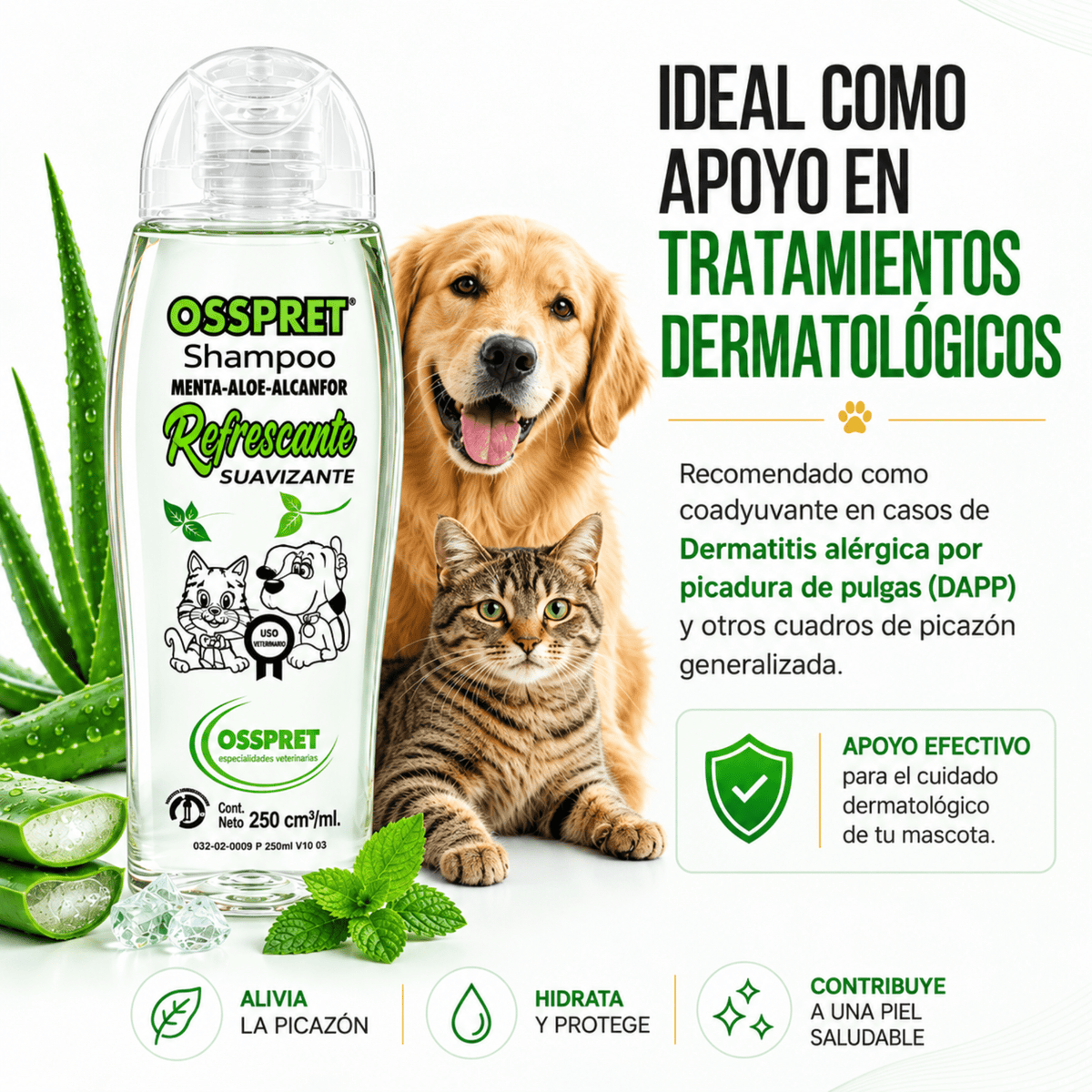 OSSPRET Shampoo Refrescante Suavizante 250 ml | Menta, Aloe y Alcanfor - Cosmos