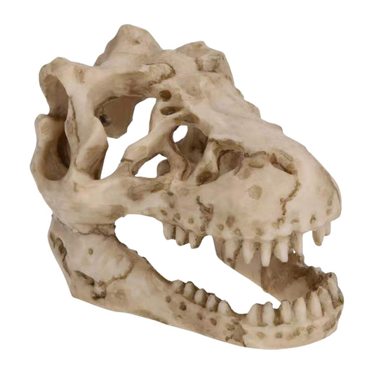 Cráneo de T - Rex en Resina – Decoración para Acuario - COSMOS