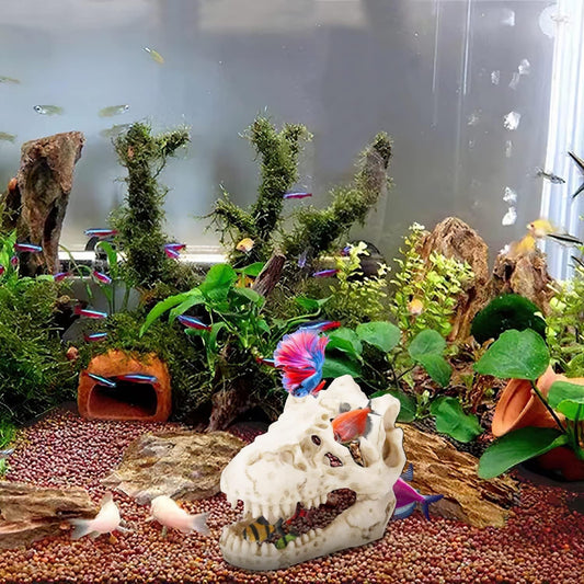 Cráneo de T - Rex en Resina – Decoración para Acuario - COSMOS