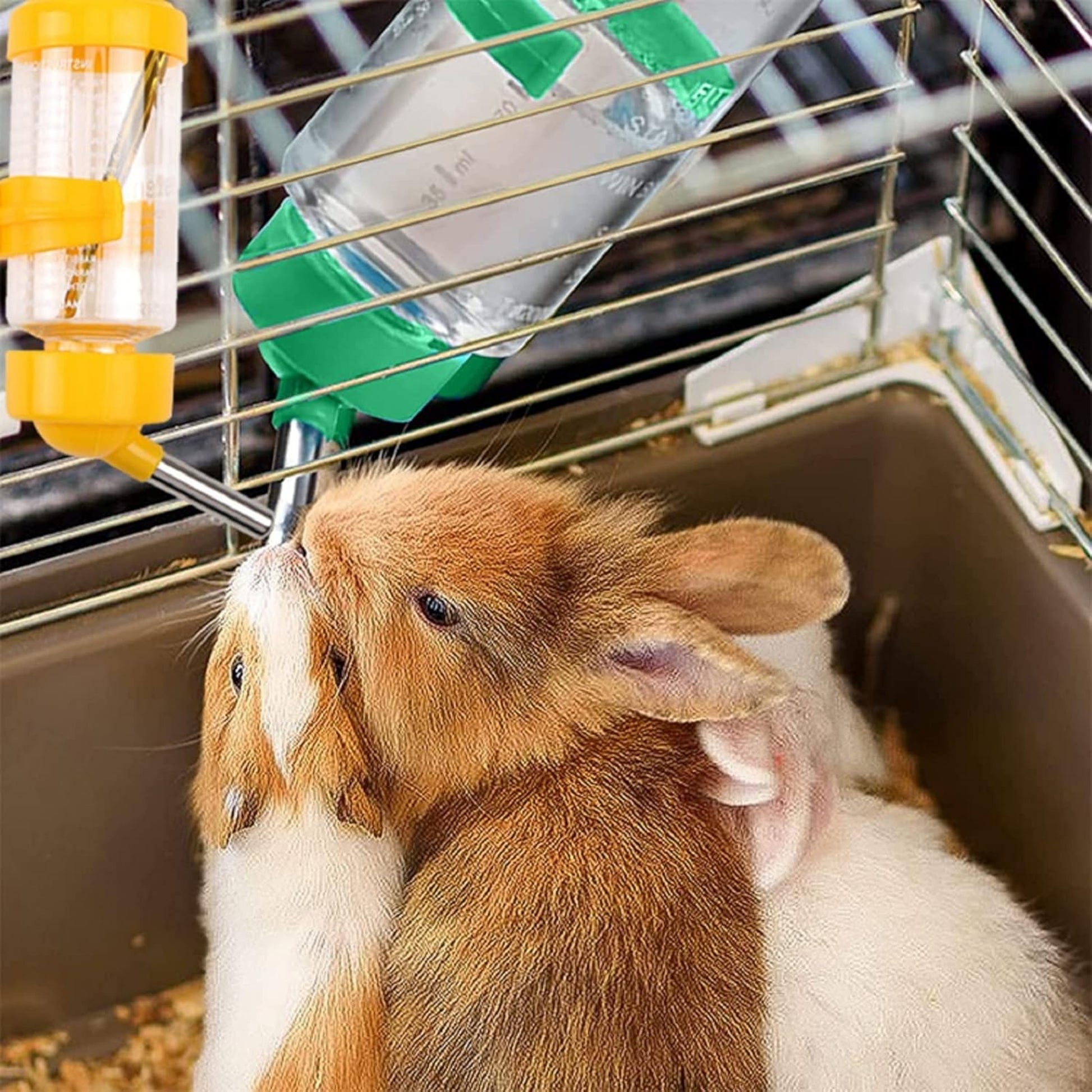 Bebedero Antigoteo para Pequeños Animales – Varias Capacidades - COSMOS