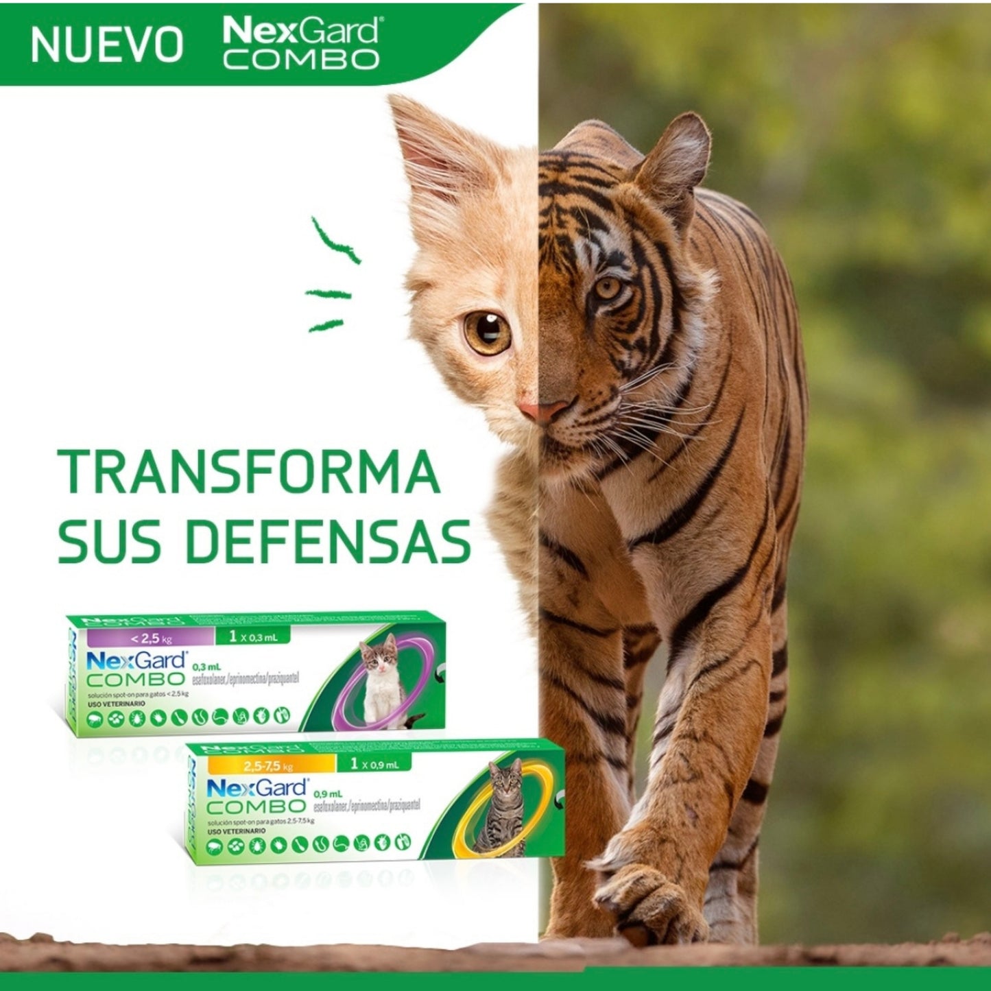 NEXGARD® COMBO – Protección Total para Gatos