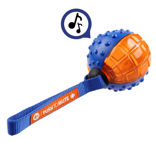 Juguete para perro GIGWI Regular Ball Push to Mute