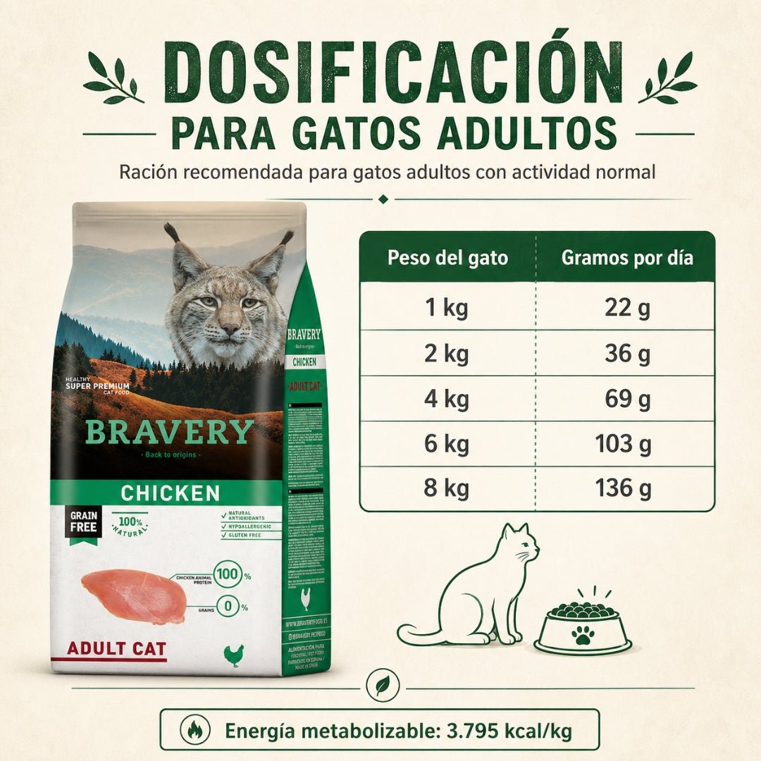 BRAVERY Pollo Adulto Cat - Cosmos