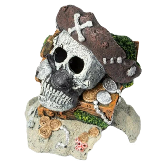 Adorno de Resina – Calavera Pirata Mágica - COSMOS