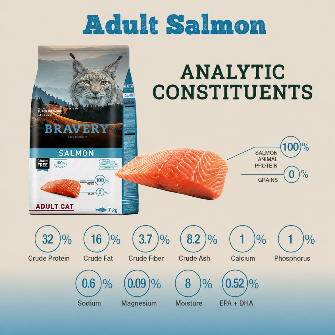 BRAVERY Salmón Adulto Cat - Cosmos