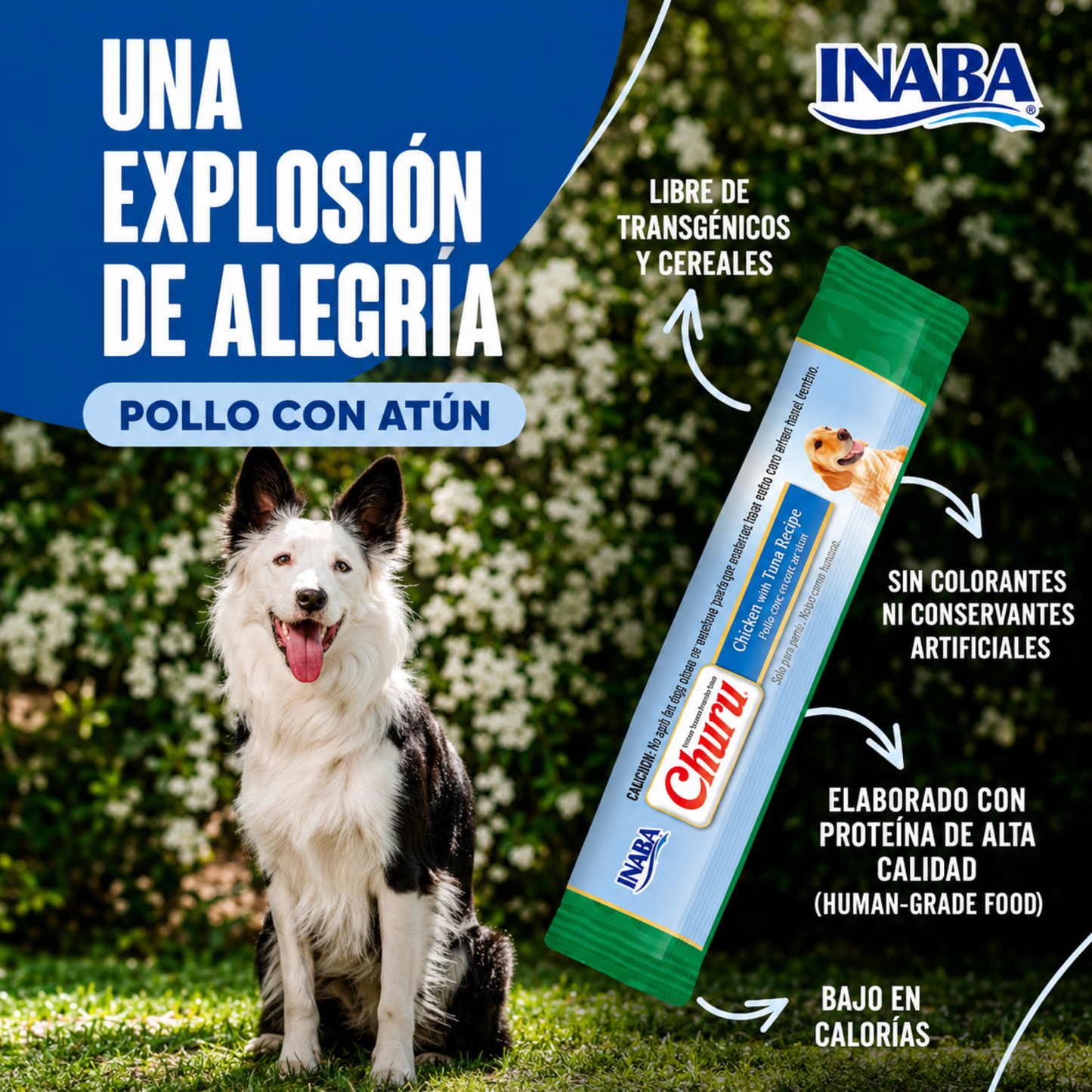 CHURU CREMOSO PARA PERRO POLLO CON ATUN