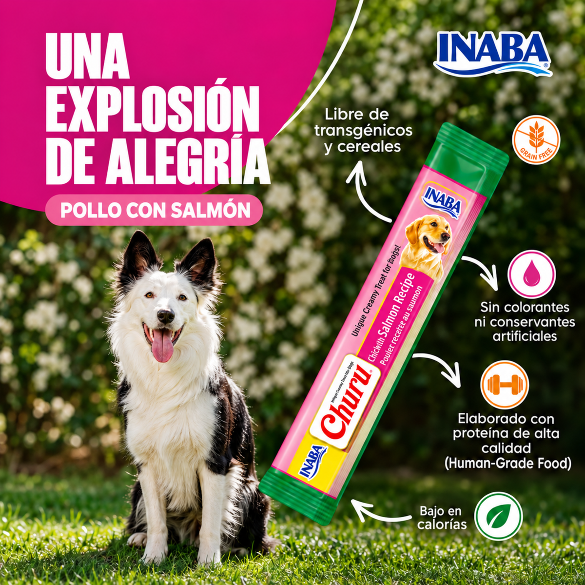CHURU CREMOSO PARA PERRO DE POLLO CON SALMÓN