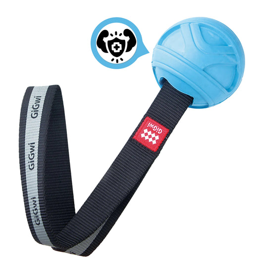 Juguete para perro GIGWI Go Fetch Slinger Blue Ball