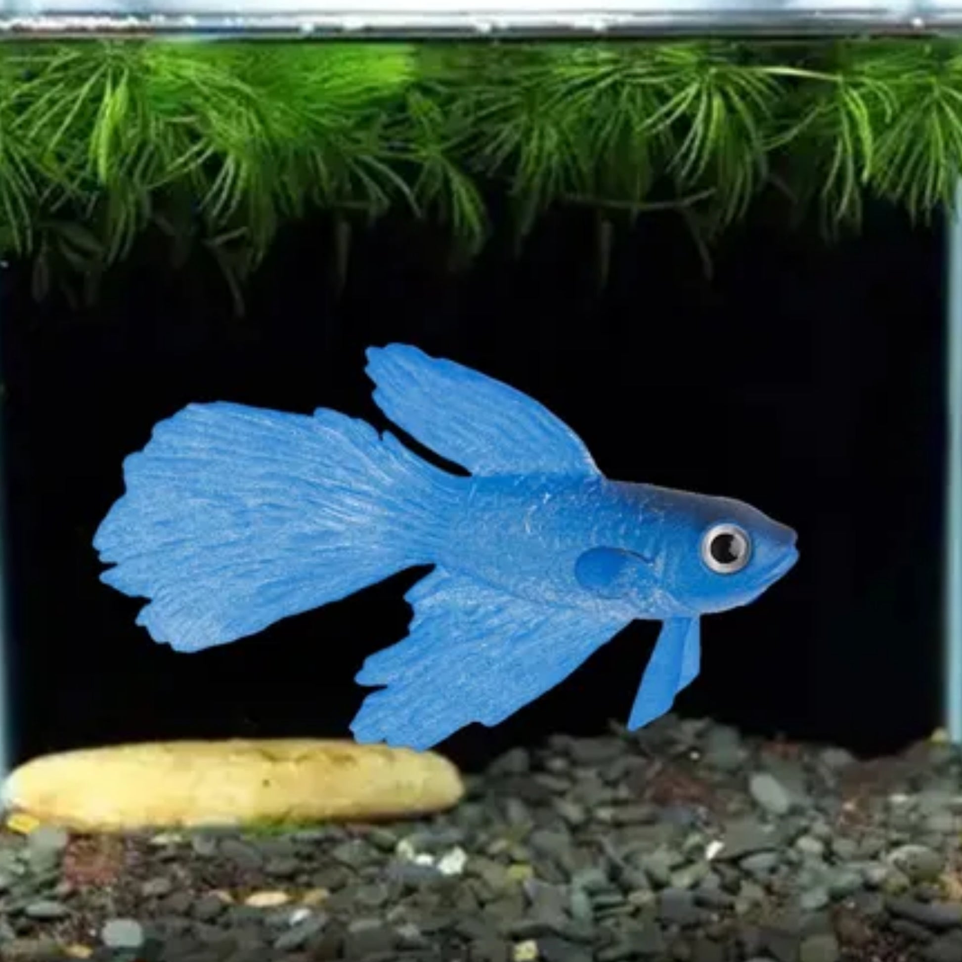 Pez Betta Artificial de Silicona para Acuario - COSMOS