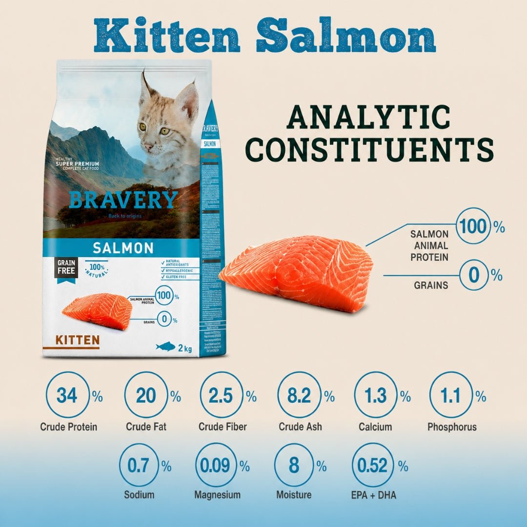 BRAVERY Salmón Kitten 2kg - Cosmos