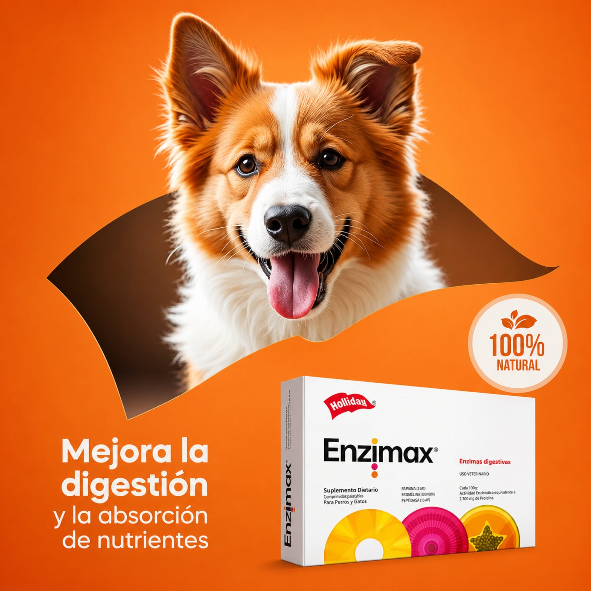 Enzimax para Perros y Gatos – Enzimas Digestivas Naturales - Cosmos