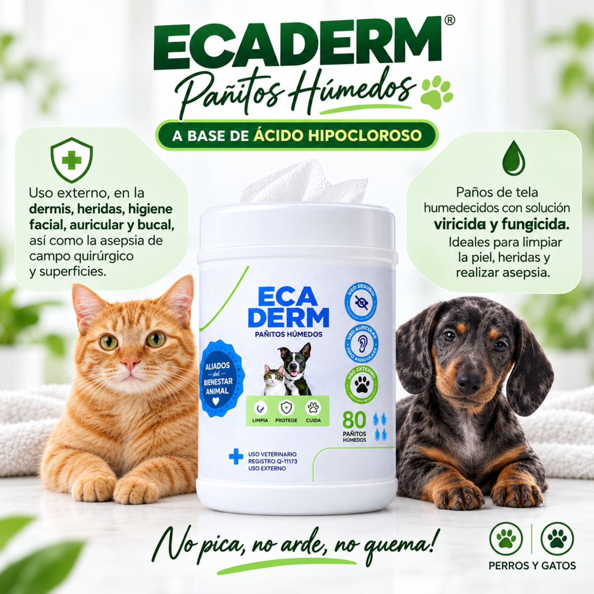 ECADERM PAÑITOS HÚMEDOS