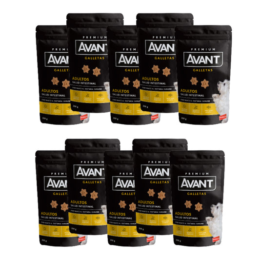 Avant Galletas Salud Intestinal – Snack para Perros - COSMOS