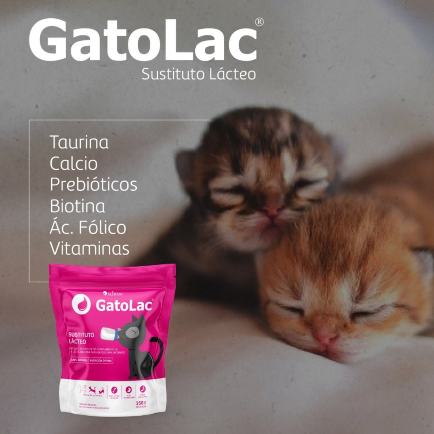 GatoLac – Leche en Polvo para Gatitos | Doypack 350 g con Dosificador