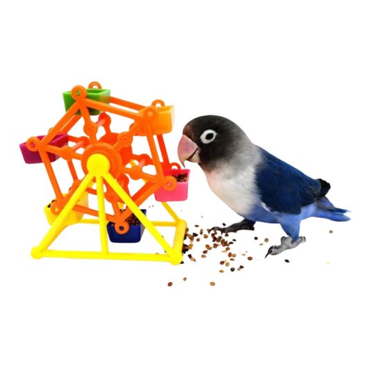 Juguete Giratorio para Pájaros – Rueda Colorida con Compartimentos - COSMOS