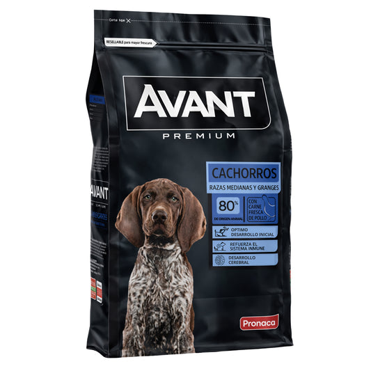 Avant Cachorros Razas Medianas y Grandes - Cosmos