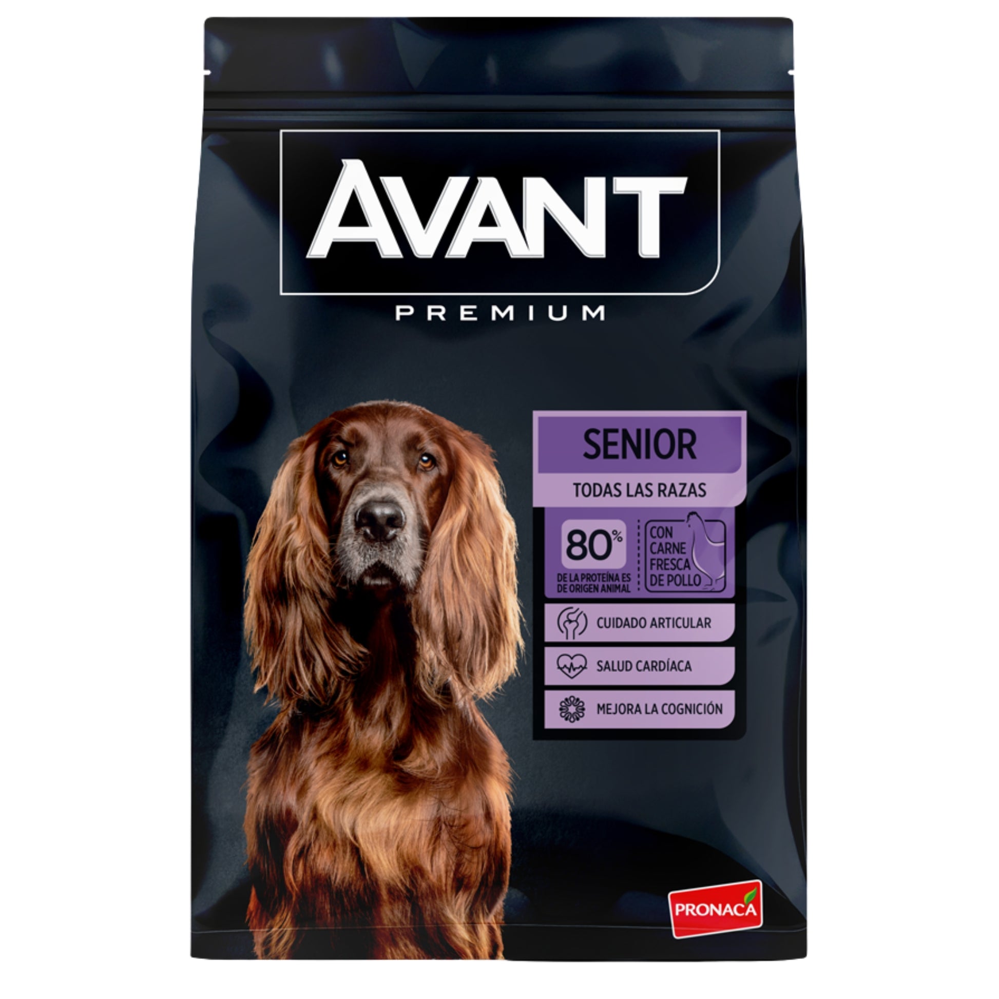 Avant Adulto Senior - Cosmos