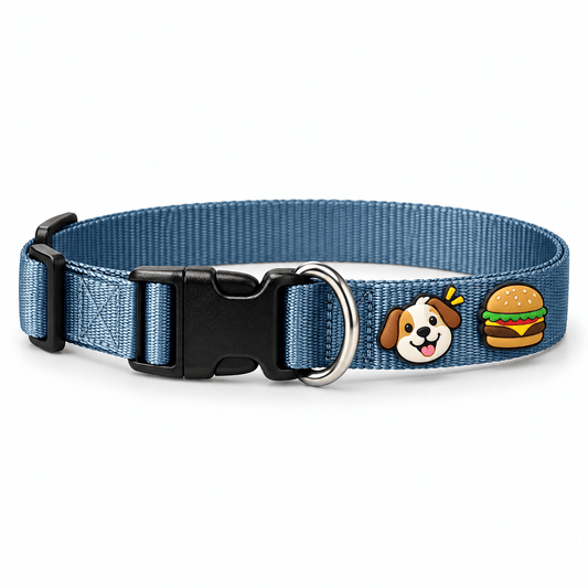 Collar para Perro con Dijes Decorativos - Cosmos