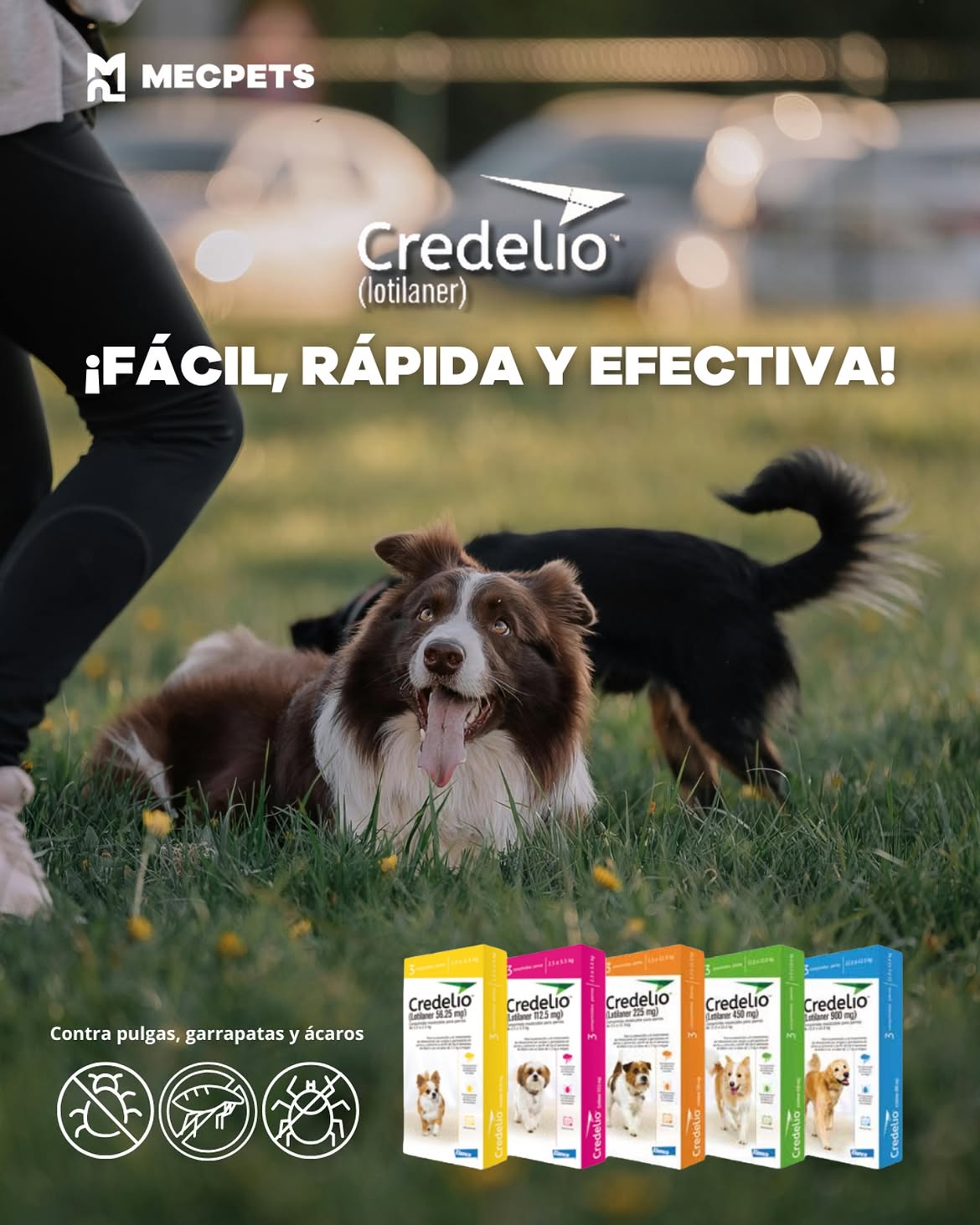 Credelio tableta antipulgas y garrapatas ( CAJA 3 unidades) - Cosmos