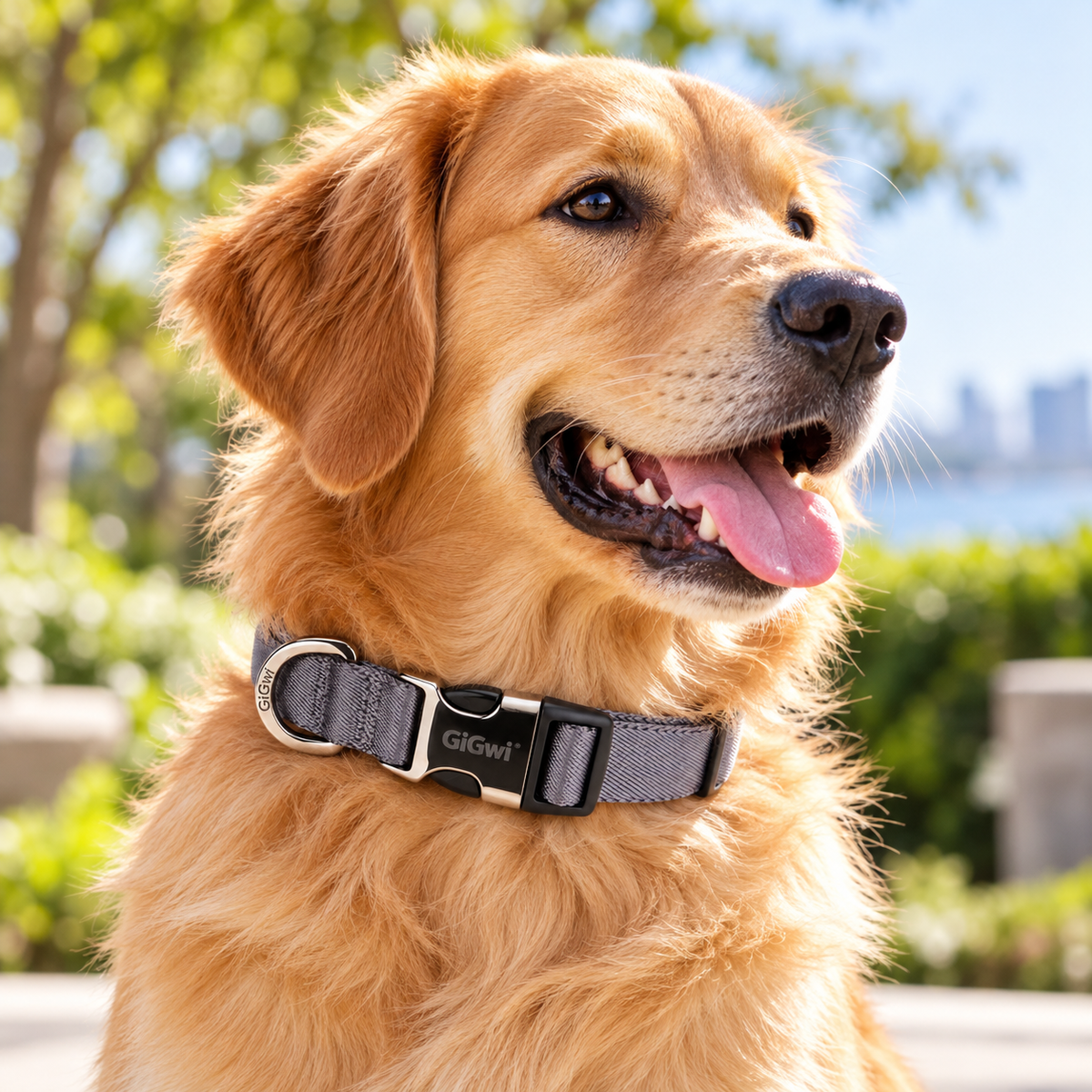 Collar Premium Ajustable para Perro GiGwi – Talla L - Cosmos