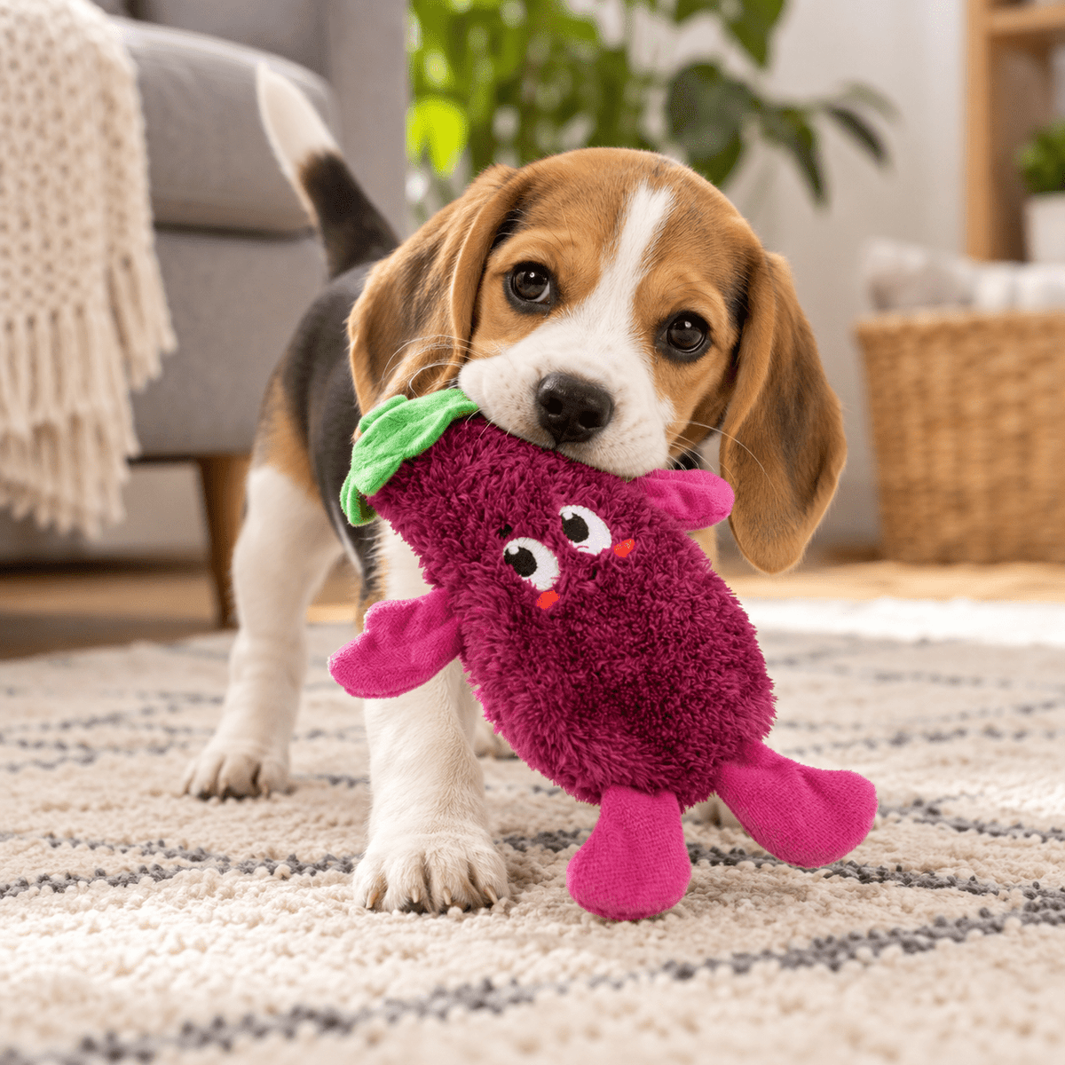 Juguete de Peluche Berenjena con Sonido para Perro GiGwi Suppa - Cosmos