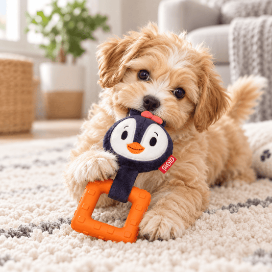 Juguete de Peluche y Caucho Pingüino para Cachorros GiGwi Suppa Puppa - Cosmos