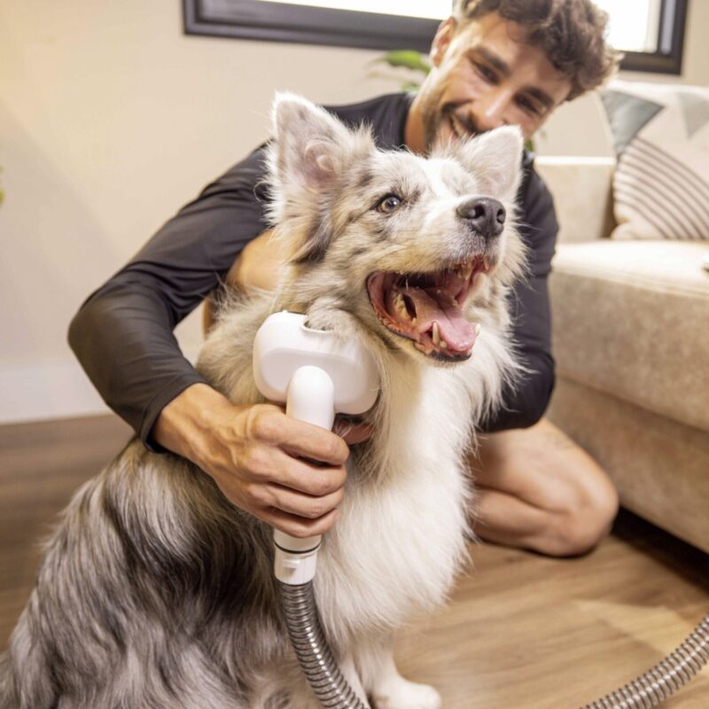 Kärcher Pet Clean | Aspiradora y Cortapelos 5 en 1 para Perros y Gatos