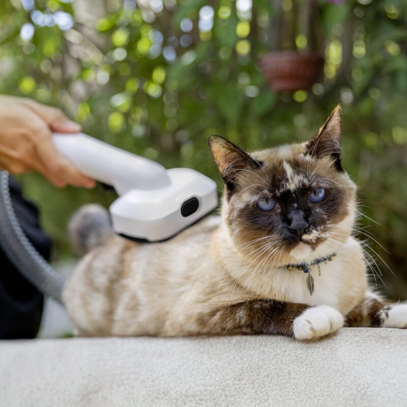 Kärcher Pet Clean | Aspiradora y Cortapelos 5 en 1 para Perros y Gatos