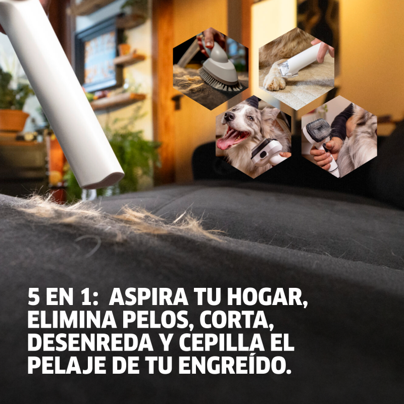 Kärcher Pet Clean | Aspiradora y Cortapelos 5 en 1 para Perros y Gatos