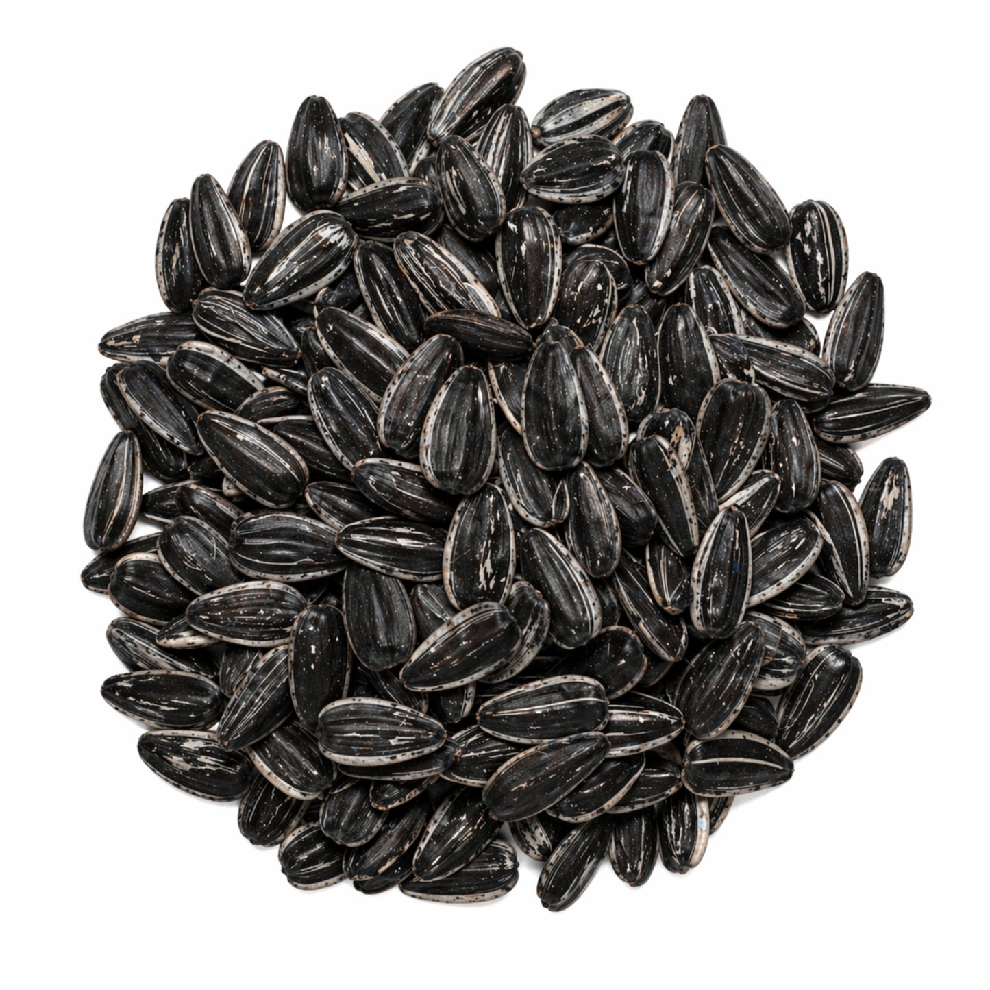 Wild Boost Semilla de Girasol 110 g – Snack Natural para Aves y Hámsters - Cosmos