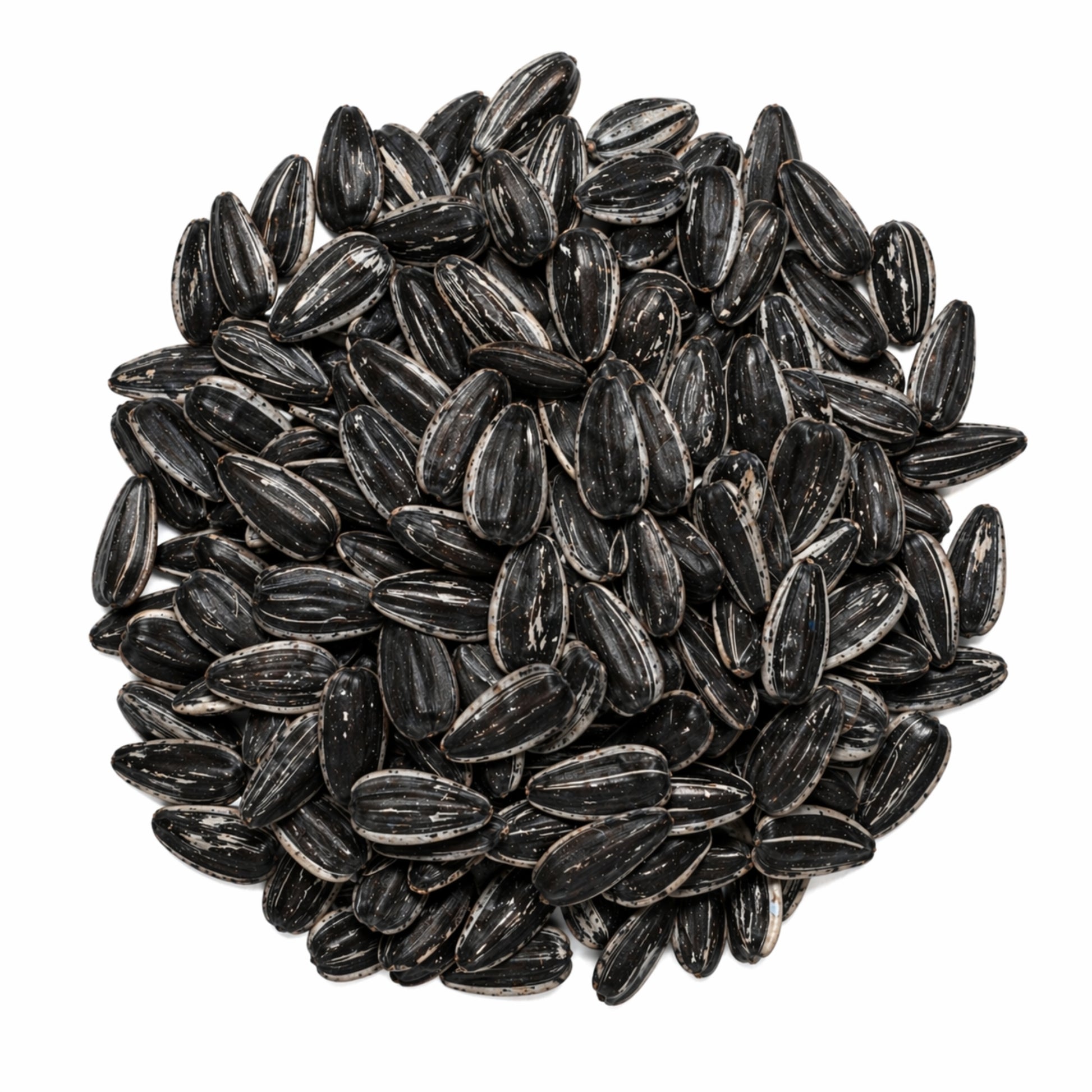 Wild Boost Semilla de Girasol 110 g – Snack Natural para Aves y Hámsters - Cosmos